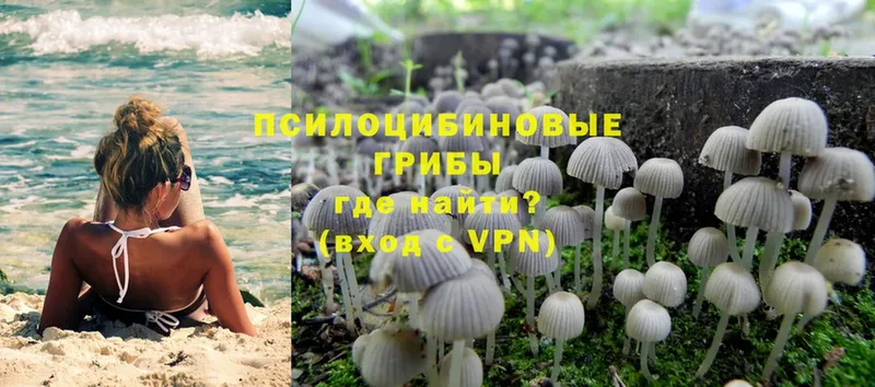 Псилоцибиновые грибы Magic Shrooms  Балашов 